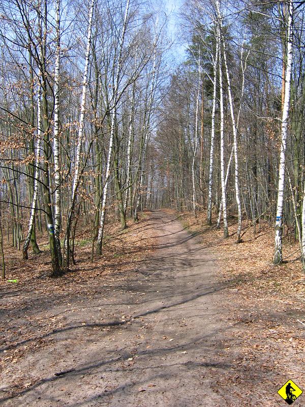 fota 023.jpg - Górka Zielona. Przystanek na uzupełnienie węglowodanów. Siedzę wśród śpiewu ptaków i oślepiającego słońca. Gdyby tylko nie droga krajowa nr 7, powiedziałbym, że ta chwila mogłaby trwać wiecznie. Początek lekko piaszczysty, zresztą jak większość trasy do tej pory.